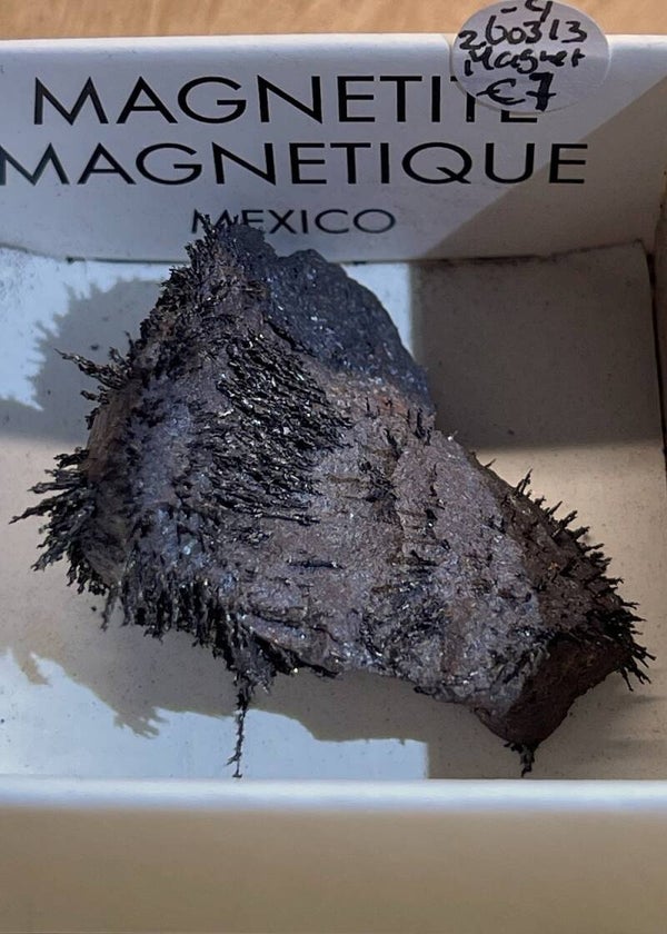 Magnetiet uit Mexico ruw, klein