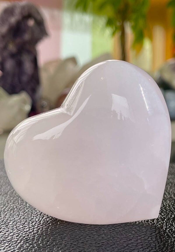 Mangano Calciet hart, medium