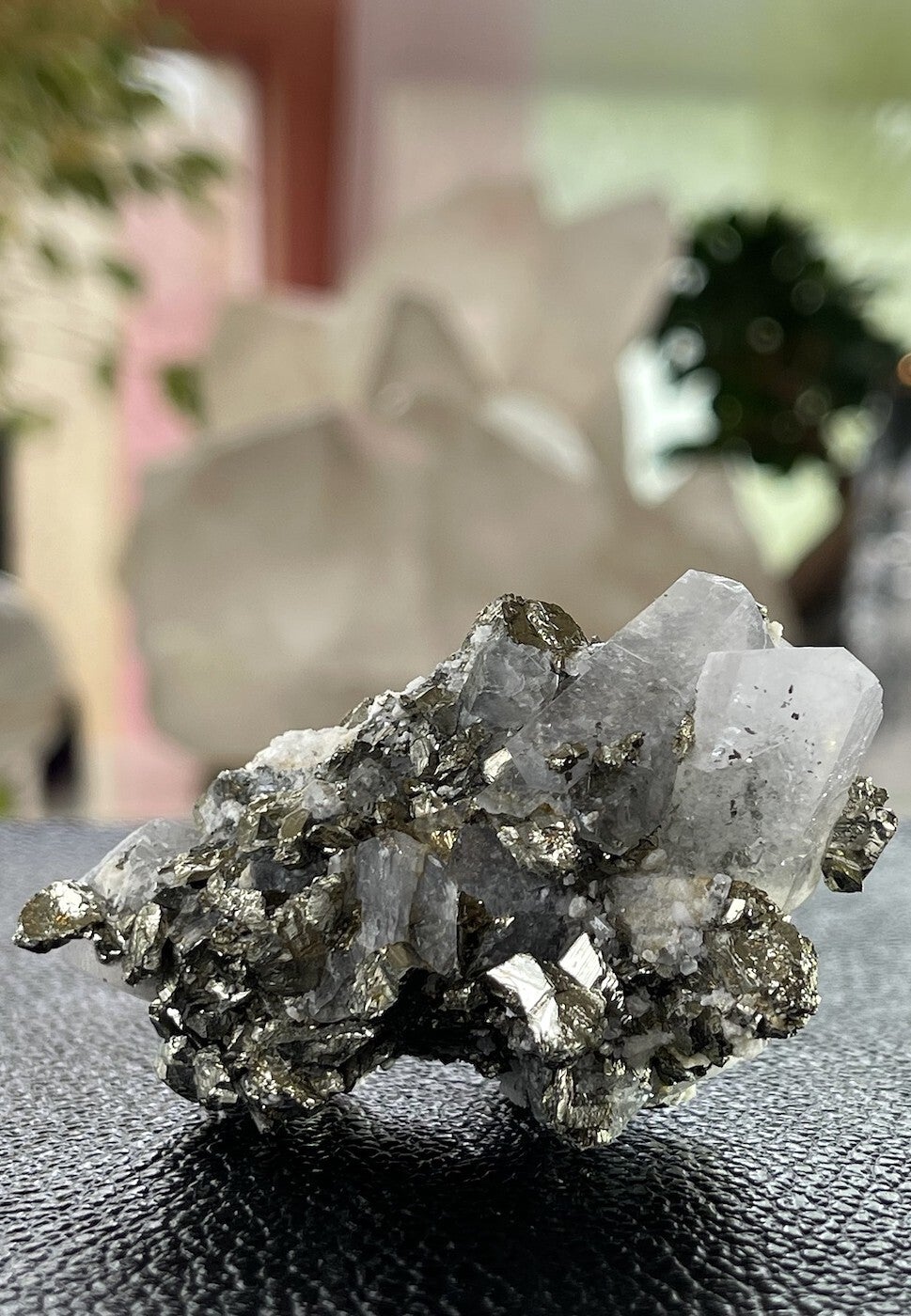 Mangano Calciet op Pyriet uit Peru ruw, klein-medium