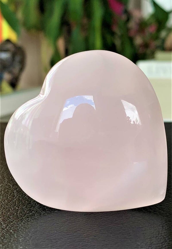 Mangano Calciet hart, medium