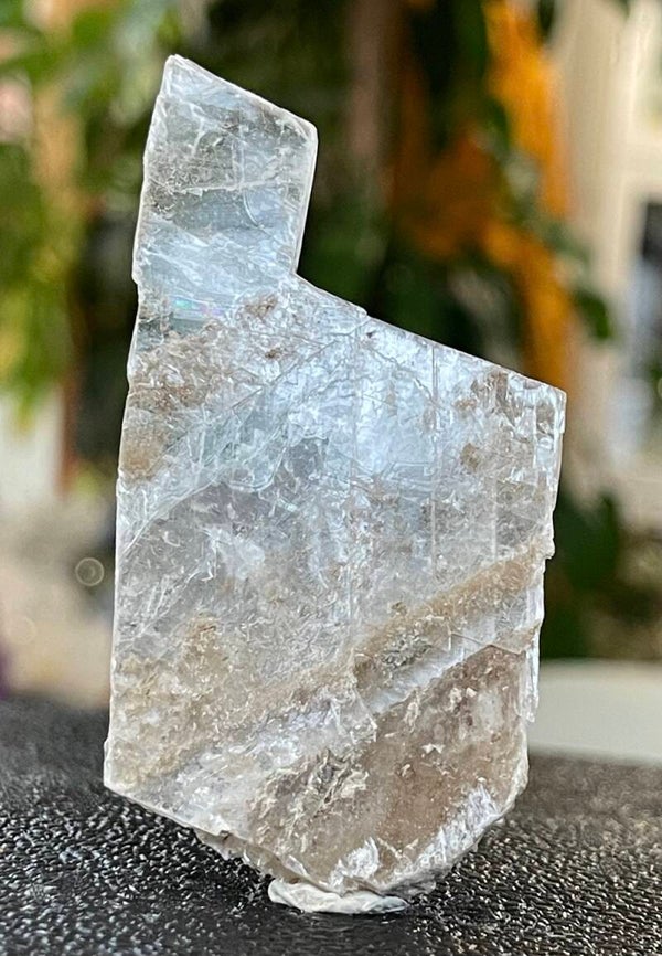 Mariaglas Seleniet ruw plat, klein