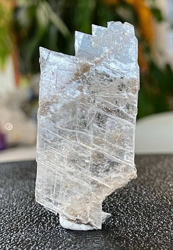 Mariaglas Seleniet ruw plat, klein