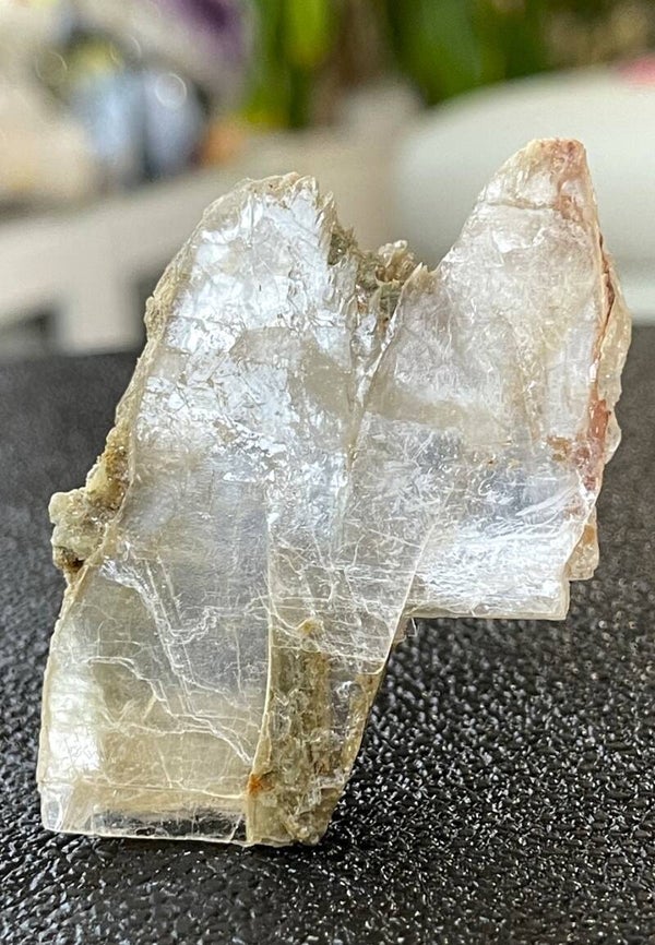 Mariaglas Seleniet ruw plat, klein-medium