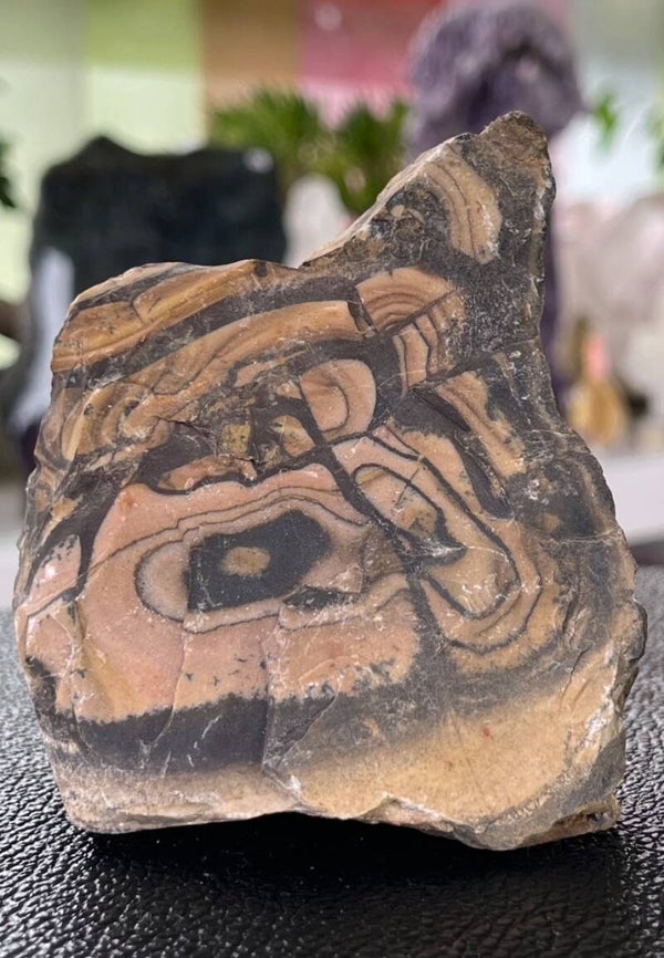 Nguni Jaspis uit Zuid-Afrika ruw, medium-groot