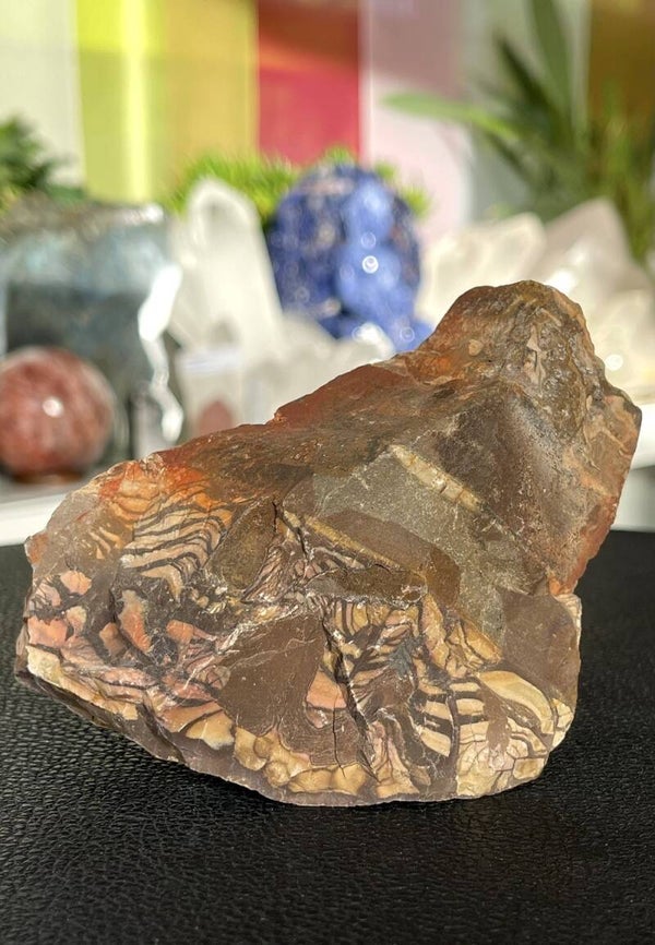 Nguni Jaspis uit Zuid-Afrika ruw, medium