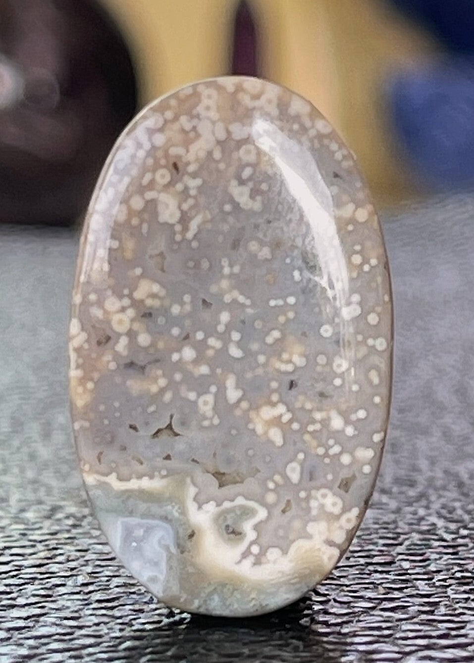 Oceaan Jaspis edelsteen cabochon ovaal, medium