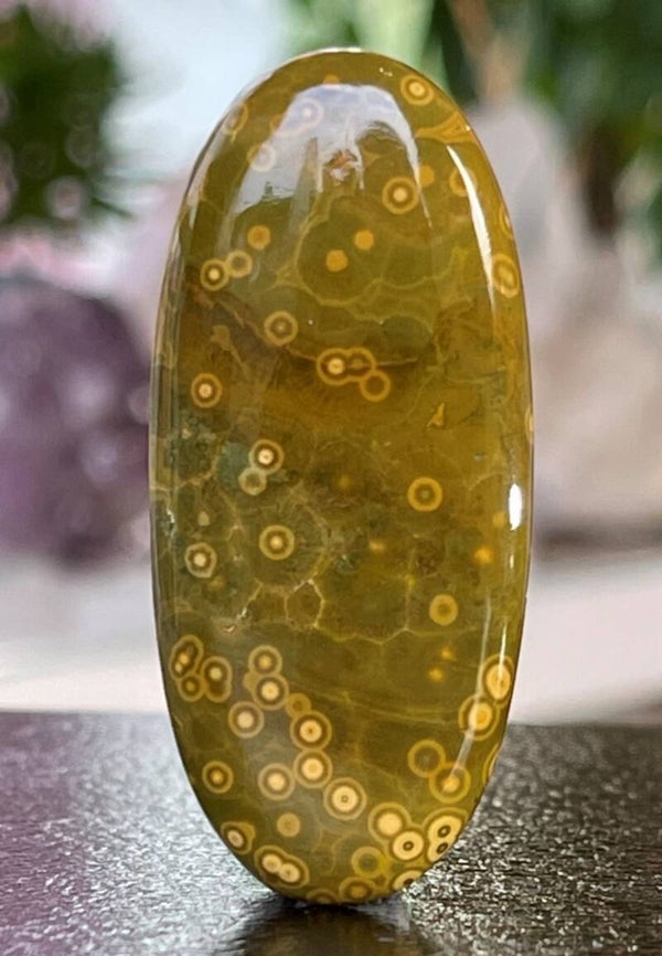 Oceaan Jaspis edelsteen cabochon ovaal, groot