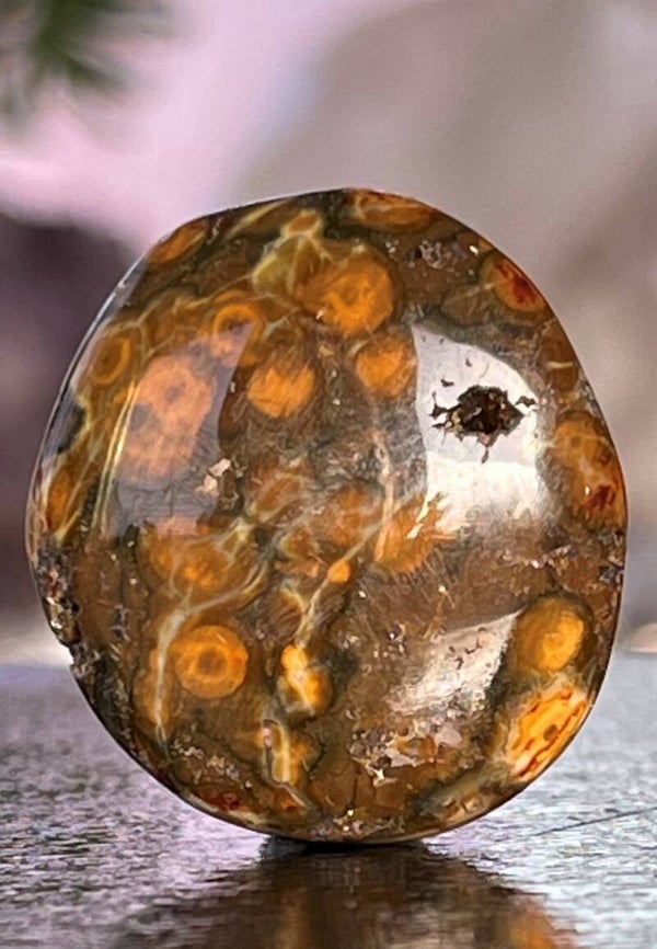 Oceaan Jaspis knuffelsteen plat, klein