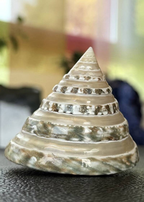 Parelmoer zilvermond turbochelp