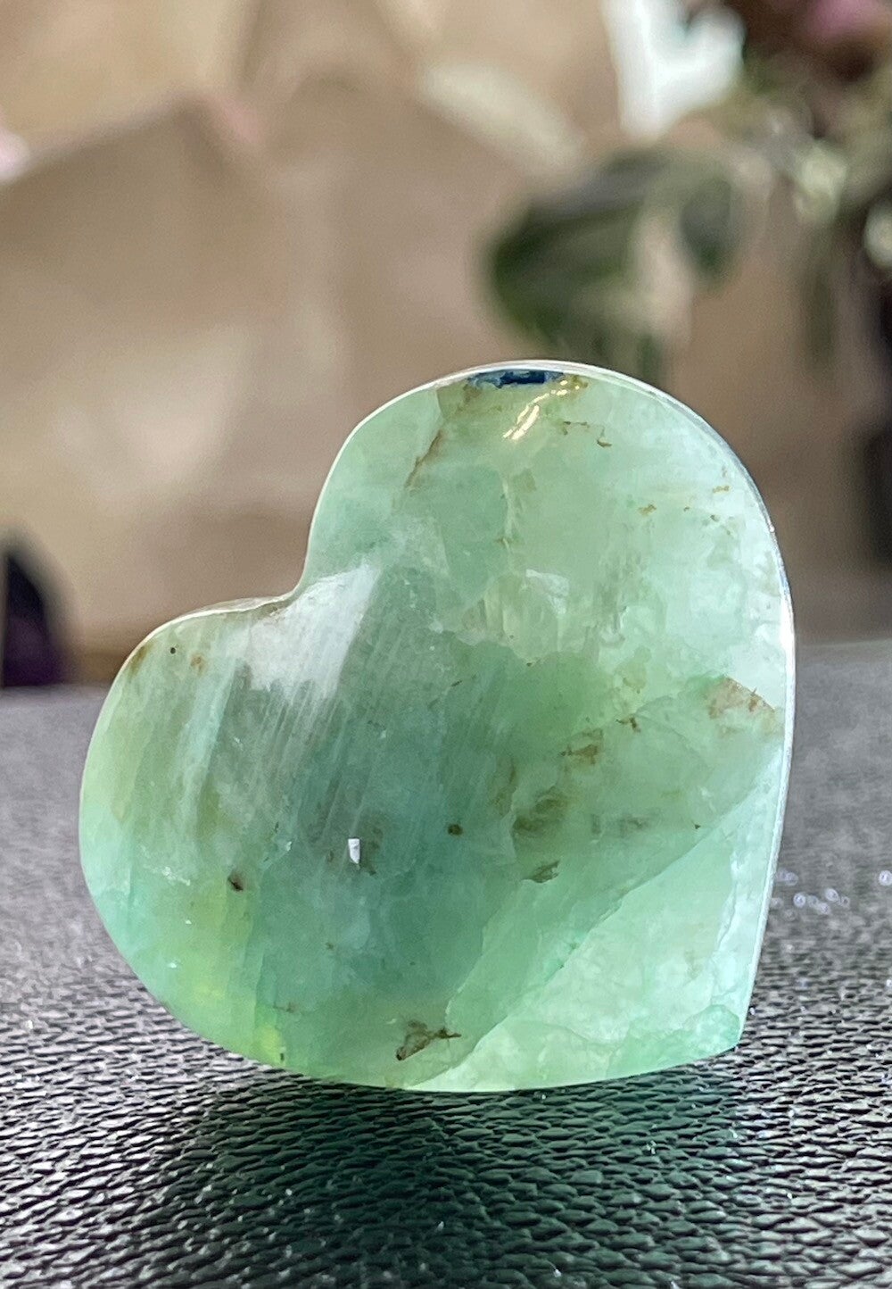 Phoenix steen hart, klein-medium