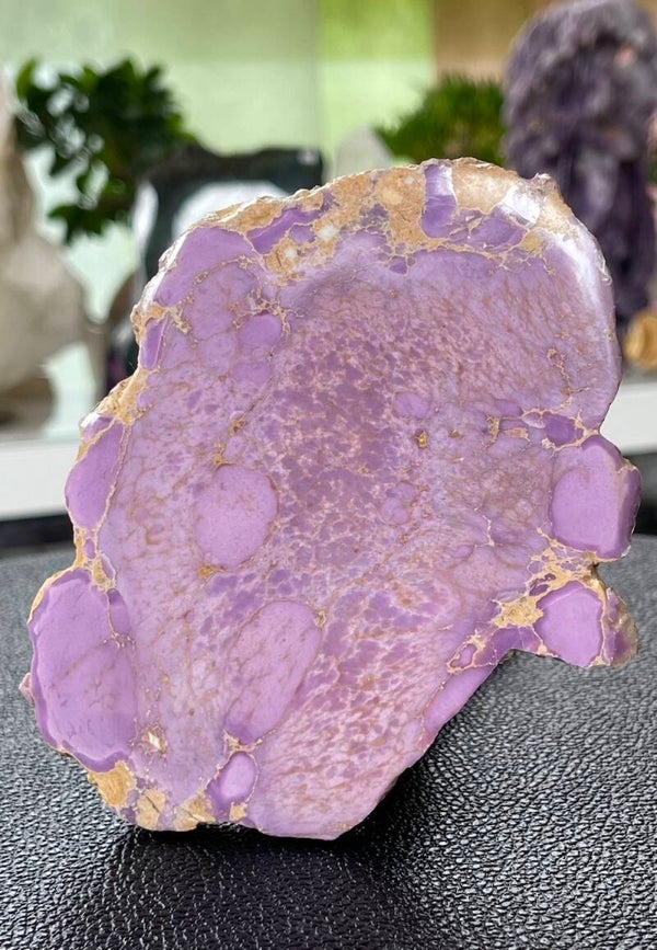 Phosphosideriet plat gepolijst schijfje, groot