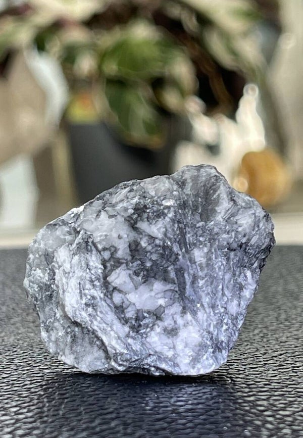 Pinoliet uit Oostenrijk ruw, klein
