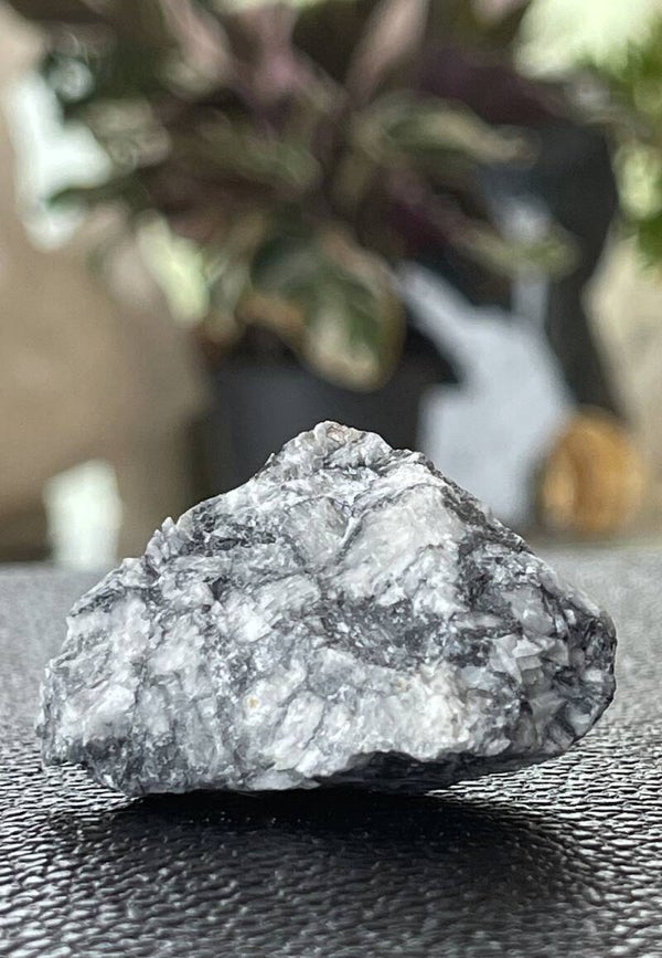 Pinoliet uit Oostenrijk ruw, klein