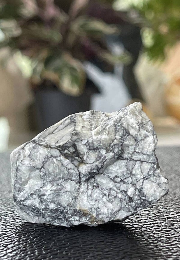 Pinoliet uit Oostenrijk ruw, klein
