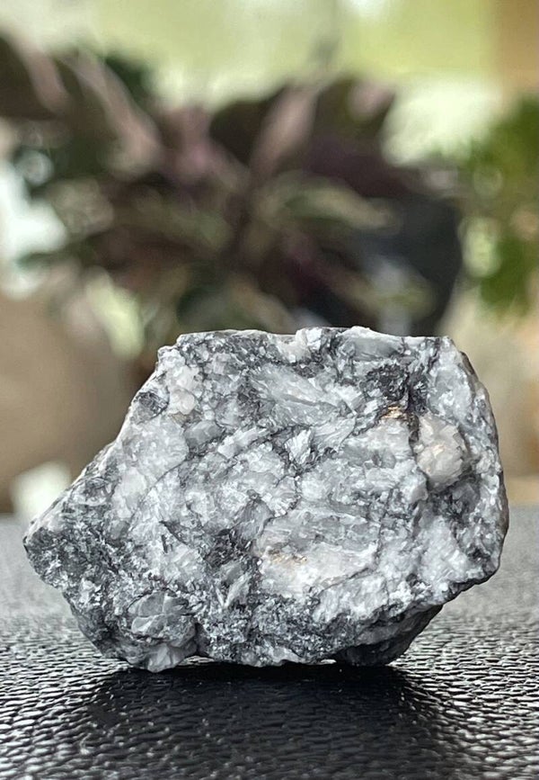 Pinoliet uit Oostenrijk ruw, klein