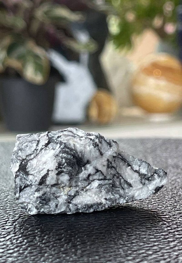 Pinoliet uit Oostenrijk ruw, klein