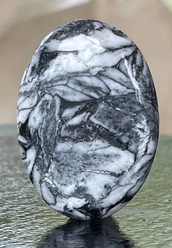 Pinoliet edelsteen cabochon ovaal, groot