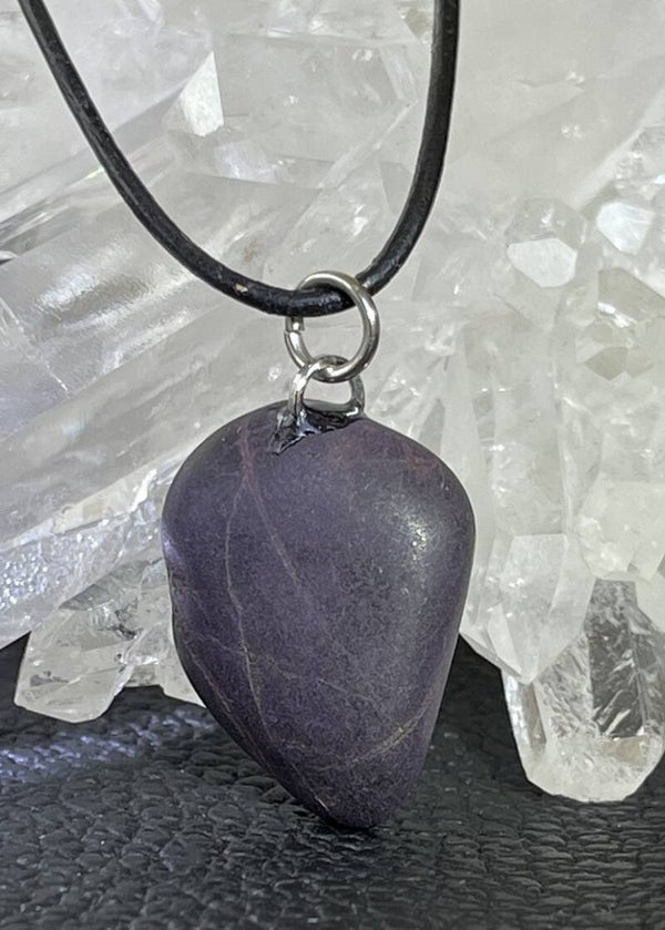 Purpuriet hangertje, met veter