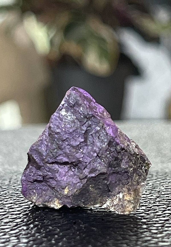 Purpuriet uit Portugal ruw, klein