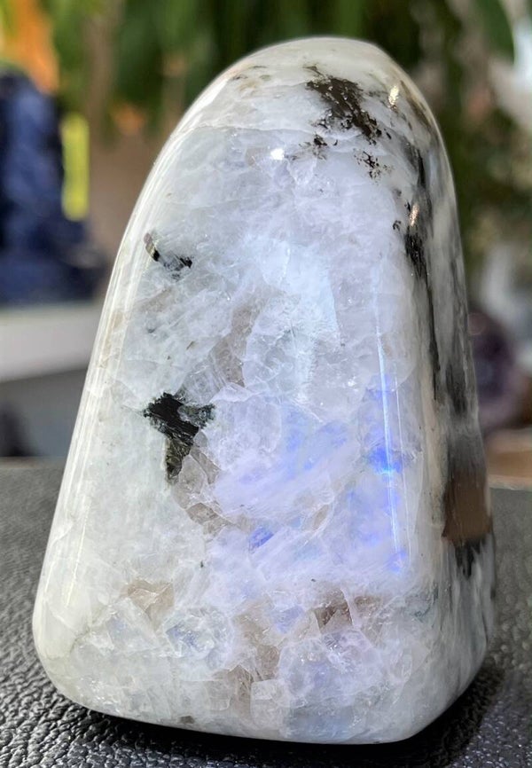 Regenboog Maansteen met Biotiet free form staand, medium