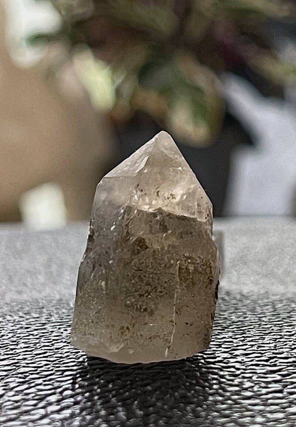 Rookkwarts puntje uit Spanje ruw, klein