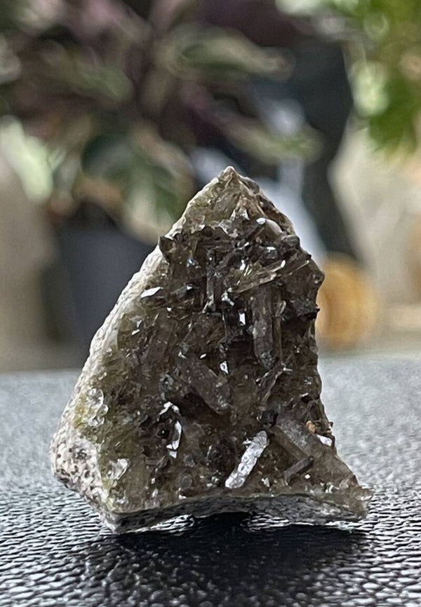 Rookkwarts uit Spanje ruw, klein
