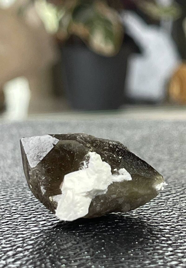 Rookkwarts uit Spanje ruw, klein