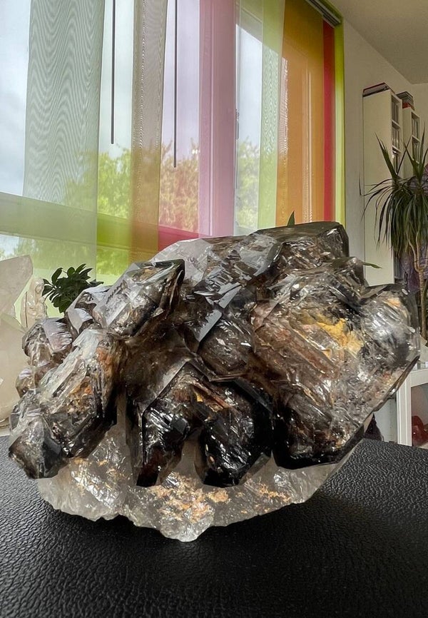 Rookkwarts Vensterkwarts uit Brazilië, groot