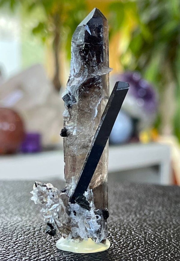 Rookkwarts punt met Aegirien, medium