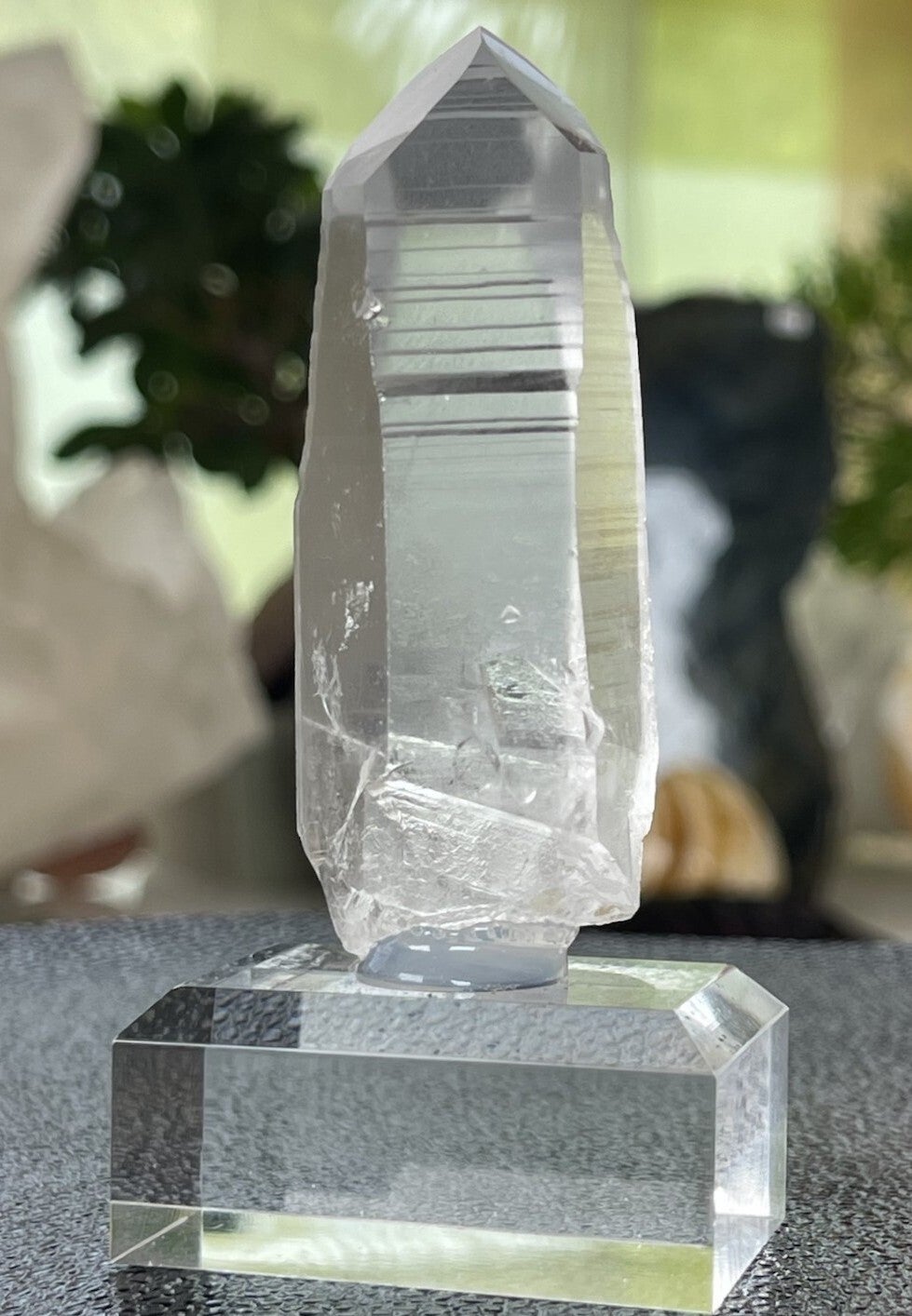 Lemurische Root Kristal punt uit Brazilië ruw, medium