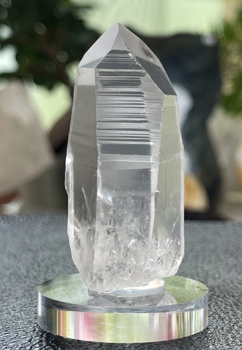 Lemurische Root Kristal punt uit Brazilië ruw, medium