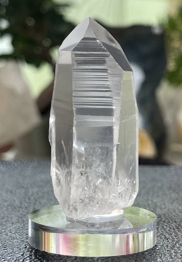 Lemurische Root Kristal punt uit Brazilië ruw, medium