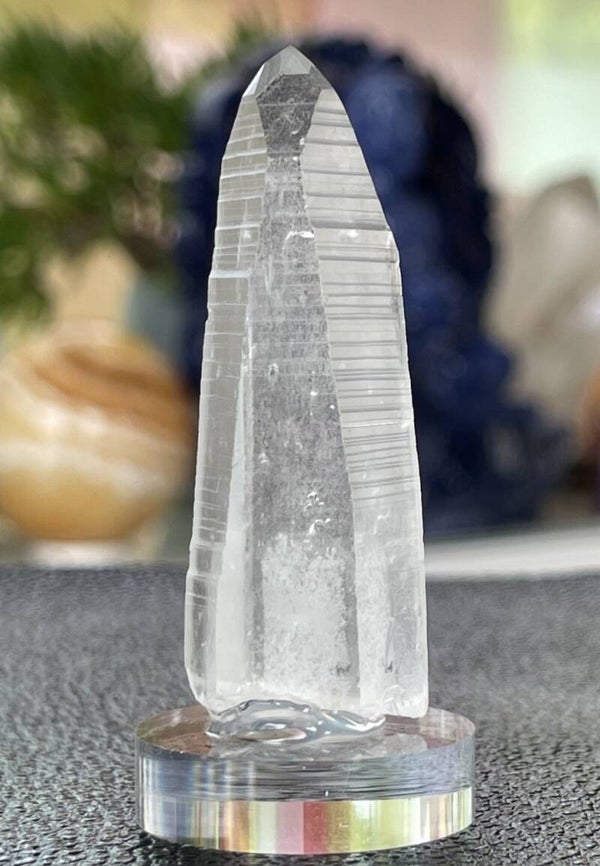 Lemurische Root Kristal punt uit Brazilië ruw, medium