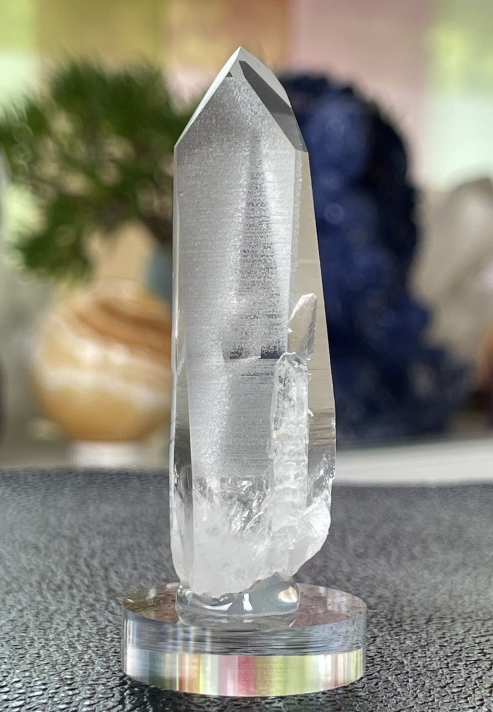 Lemurische Root Kristal punt uit Brazilië ruw, medium