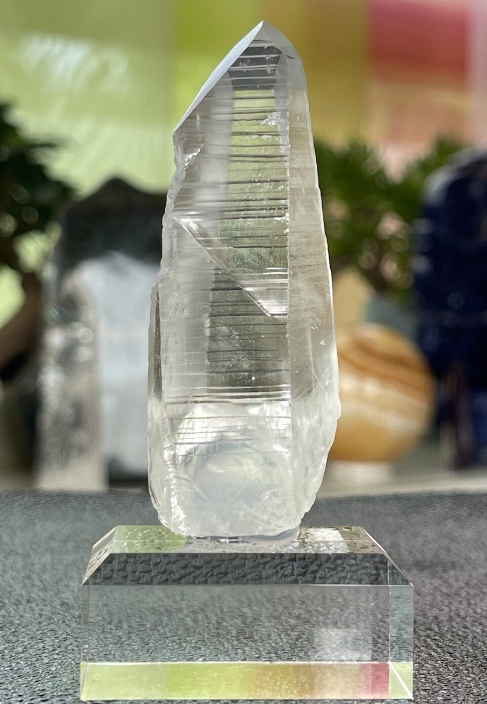Lemurische Root Kristal punt uit Brazilië ruw, medium