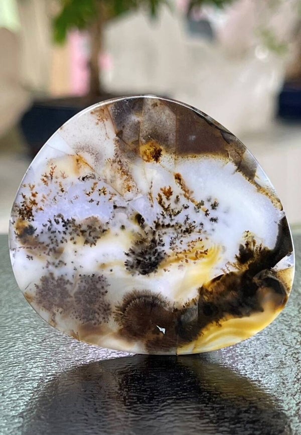 Dendriet Agaat edelsteen cabochon free form uit Rusland, groot