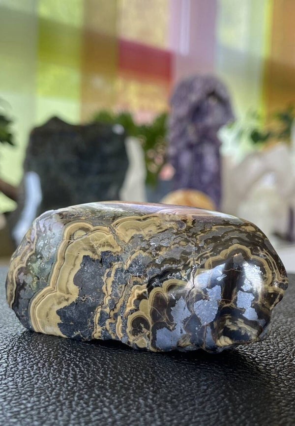 Schalenblende uit België, ruw, één zijde gepolijst, medium-groot