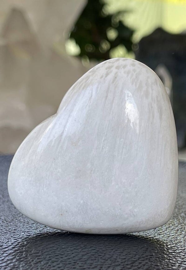 Scoleciet hart, medium
