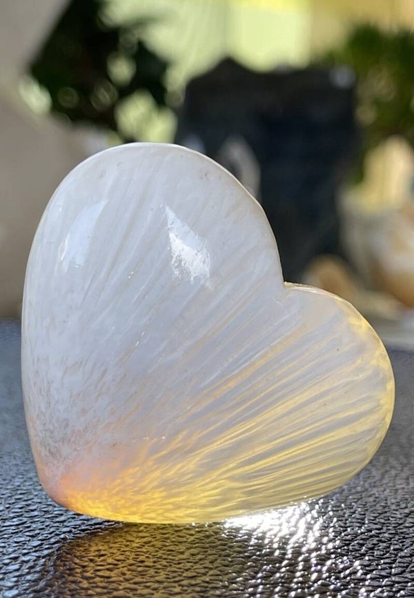 Scoleciet hart, medium