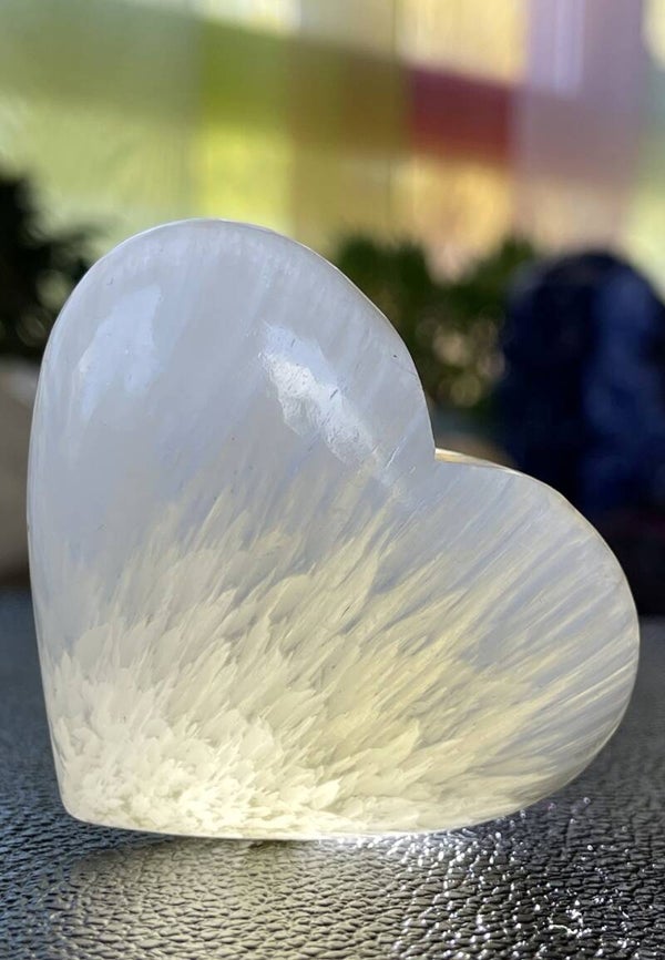 Scoleciet hart, medium