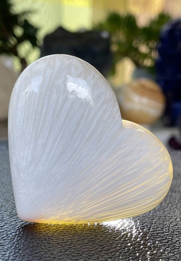 Scoleciet hart, medium