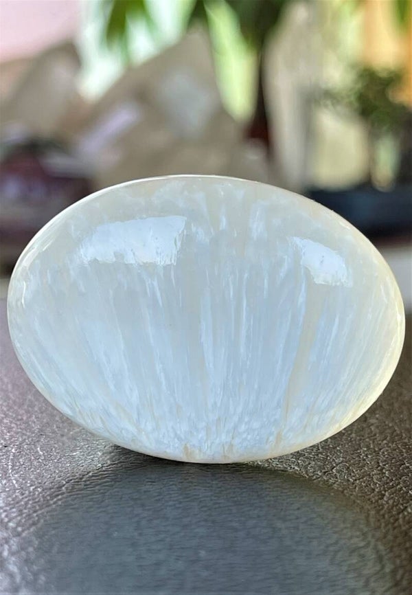 Scolociet knuffelsteen plat