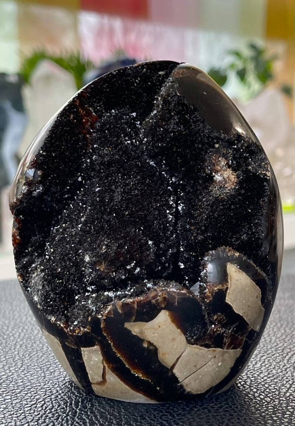 Septarie ei open free form, staand, groot 10,6 cm