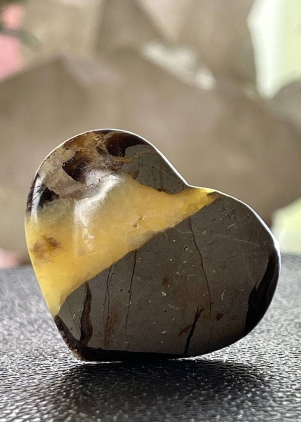 Septarie hart, klein-medium