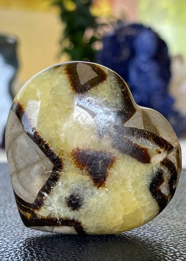 Septarie hart, medium