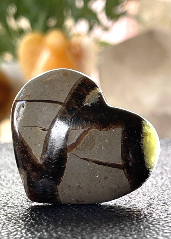 Septarie hart, medium