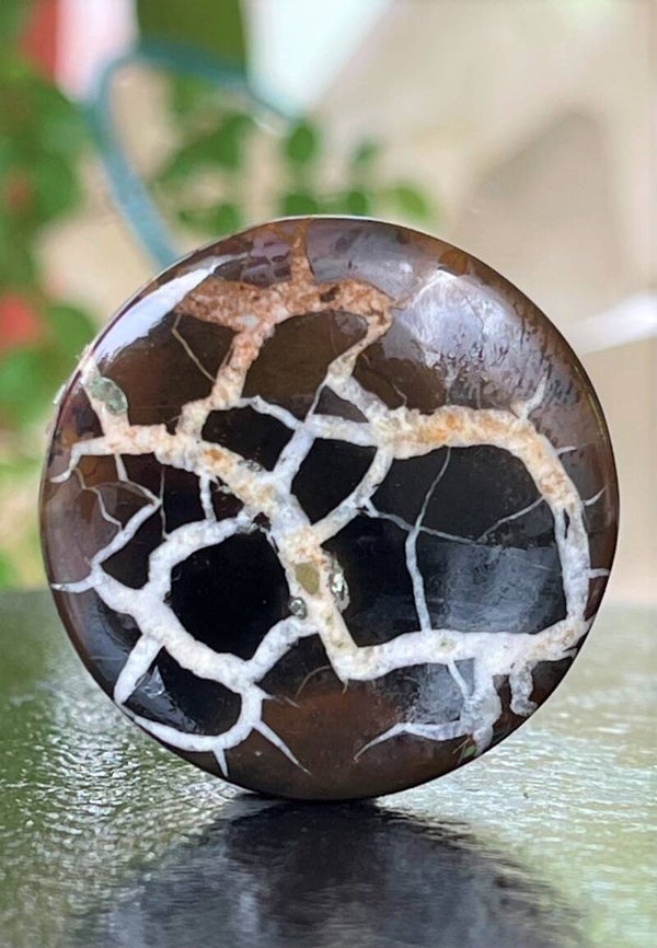 Septarie Gronates edelsteen cabochon rond, groot