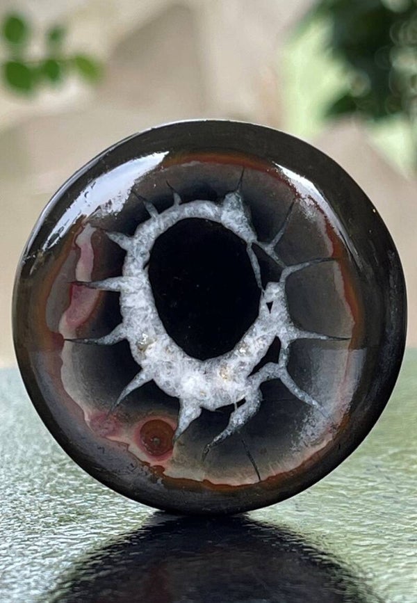 Septarie  Gronates edelsteen cabochon rond, groot