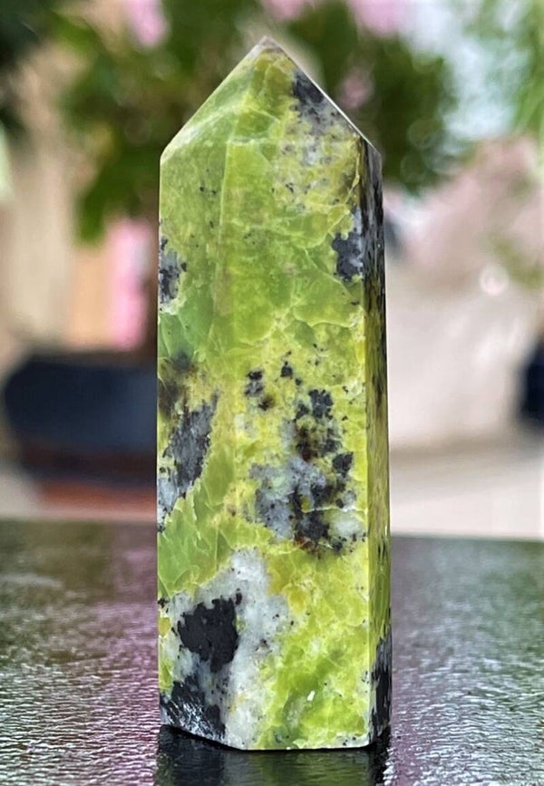 Serpentijn Jade met Pyriet punt, gepolijst