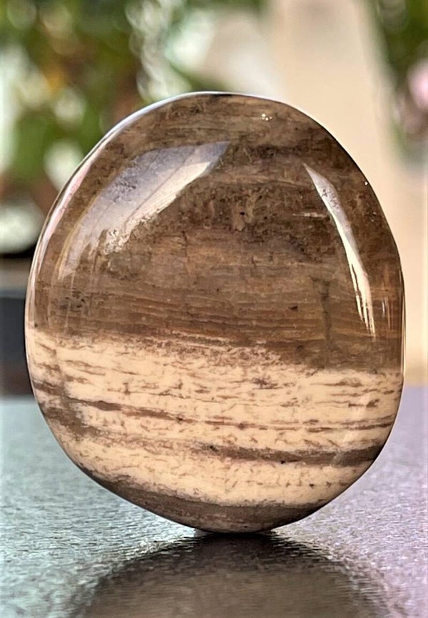 Jaspis Silverleaf knuffelsteen plat